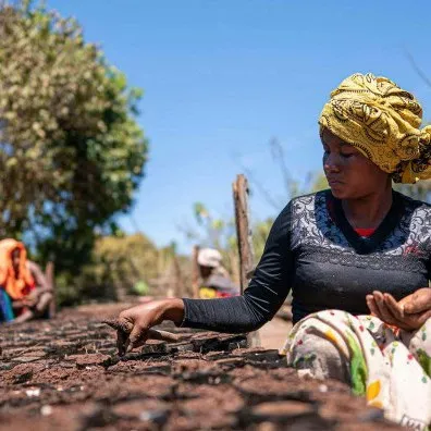 Een vrouw werkt met haar handen in de aarde tussen jonge plantjes