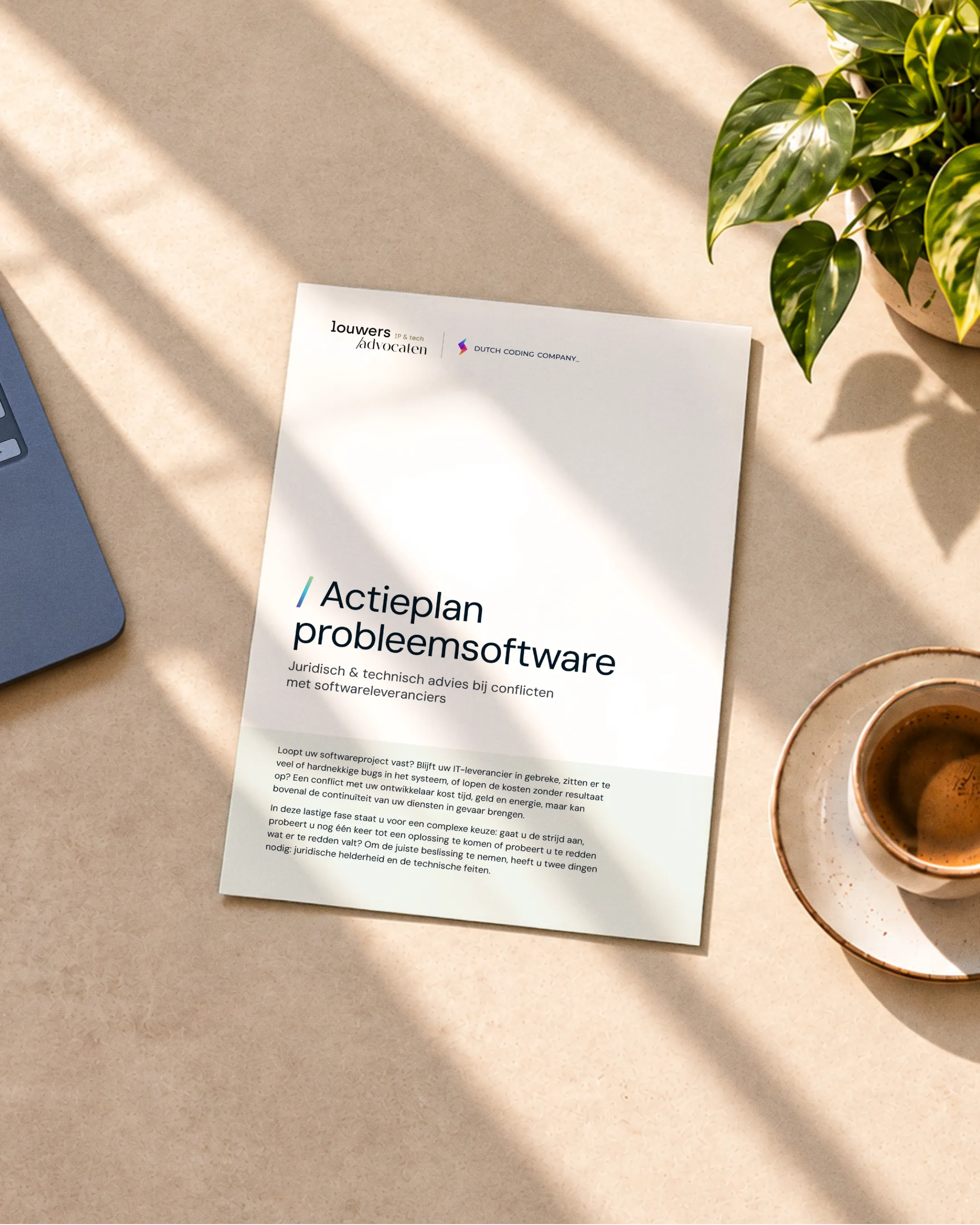 Image of the "Actieplan Probleemsoftware" brochure by Dutch Coding Company and Louwers IP & Tech Advocaten