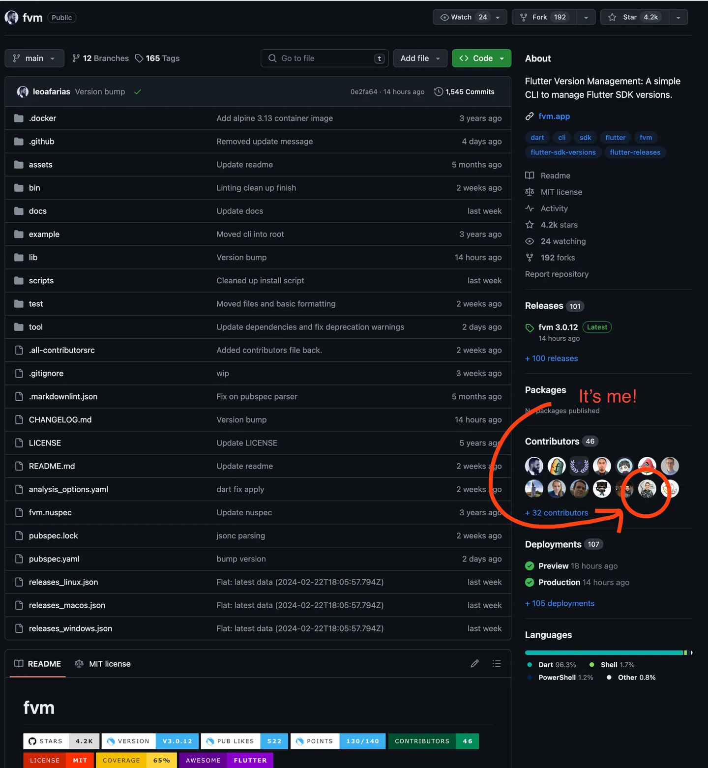 A github page with Bas in the contributors list