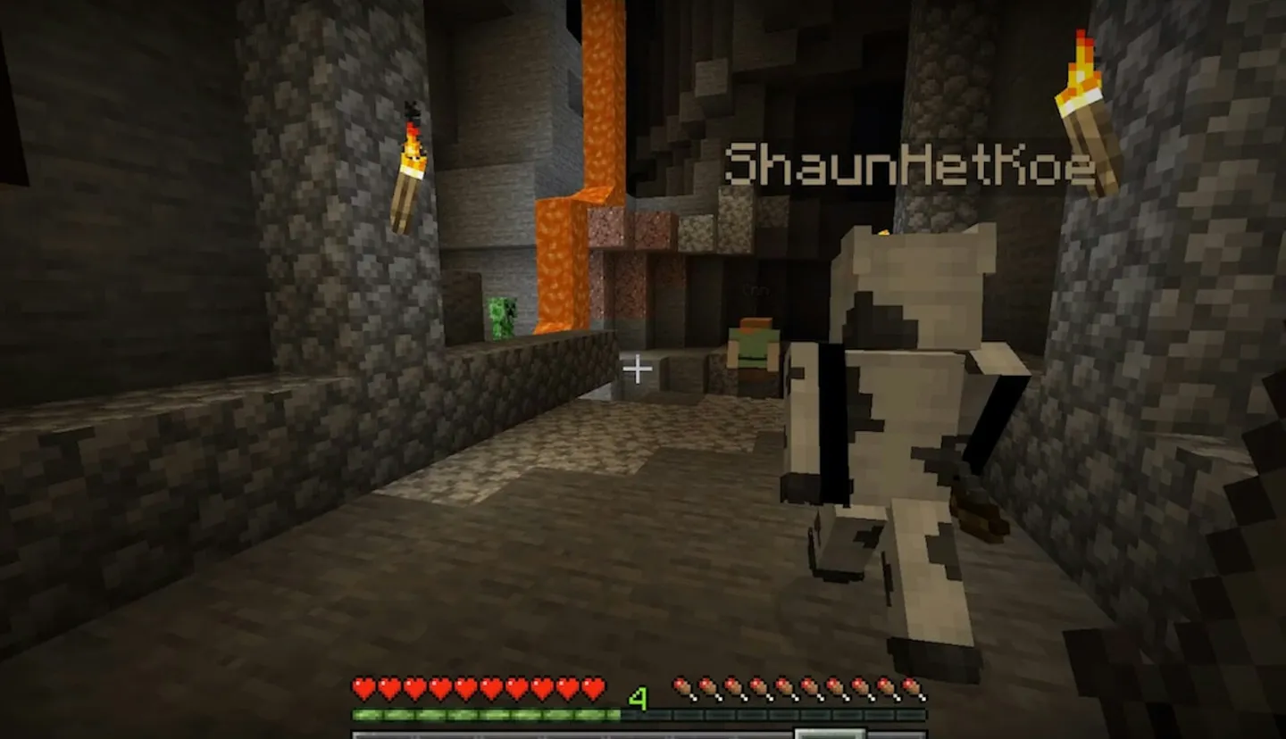 Minecraft developers