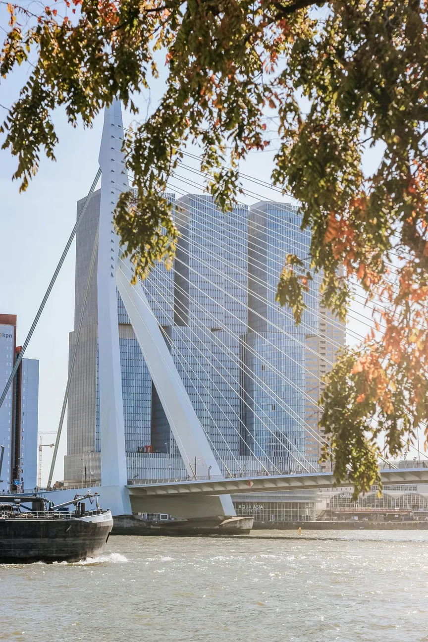 The Erasmus bridge in Rotterdam